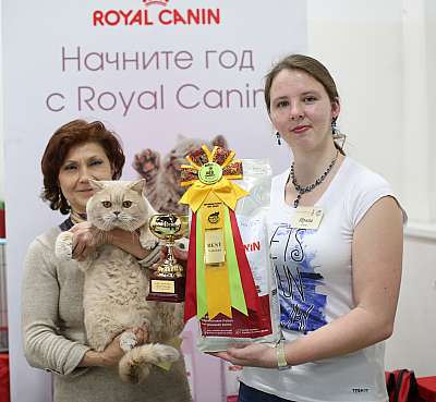 �������� ����� '���-�����-������' 11-12 ������ 2015 16-100-169A4709 copy.jpg